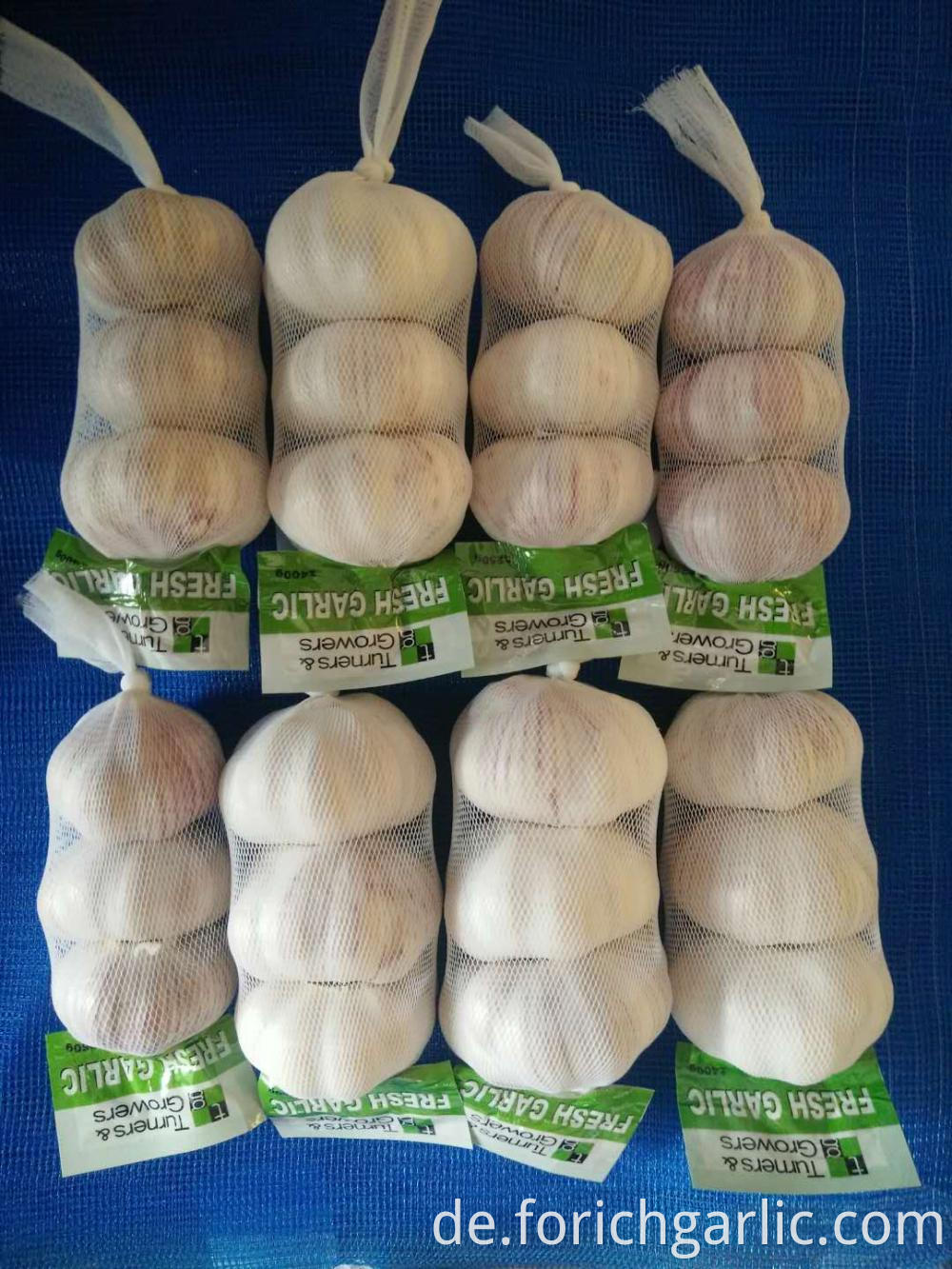 Normal White Garlic